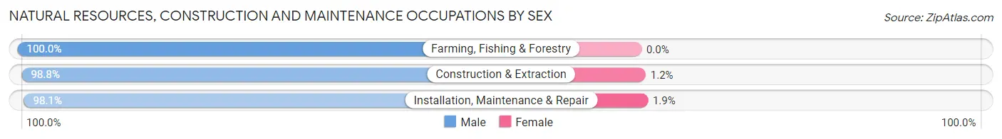 Natural Resources, Construction and Maintenance Occupations by Sex in Zip Code 13440