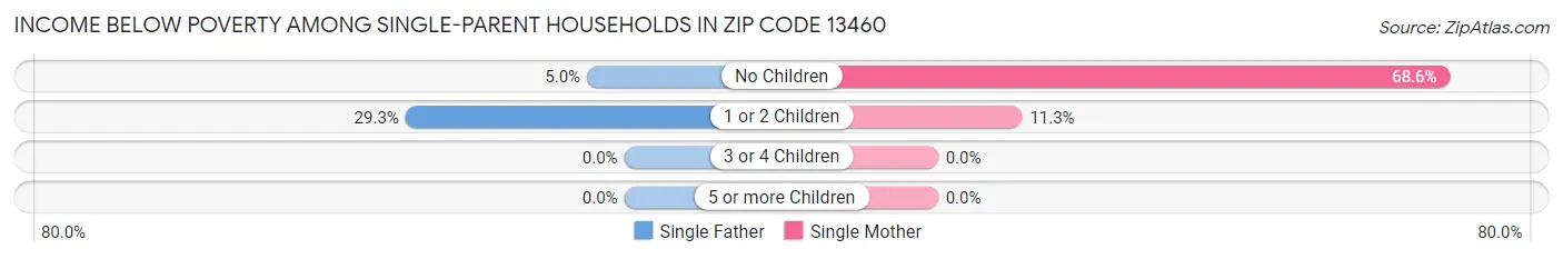 Income Below Poverty Among Single-Parent Households in Zip Code 13460