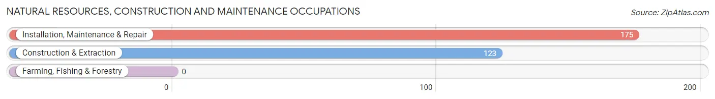 Natural Resources, Construction and Maintenance Occupations in Zip Code 13460