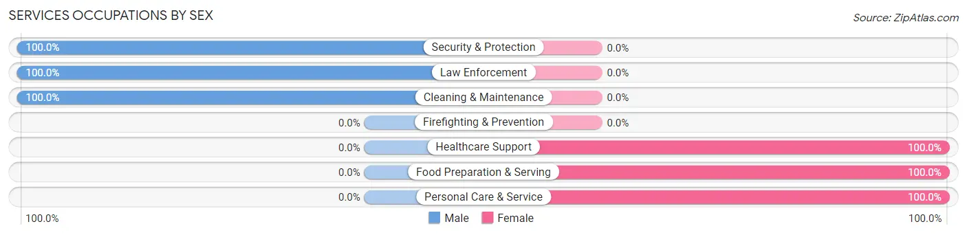 Services Occupations by Sex in Zip Code 13469