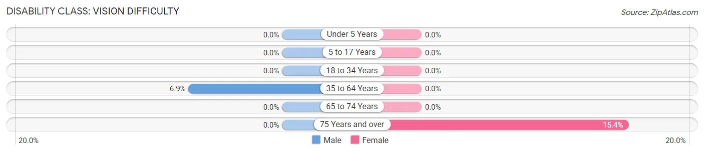 Disability in Zip Code 13470: <span>Vision Difficulty</span>