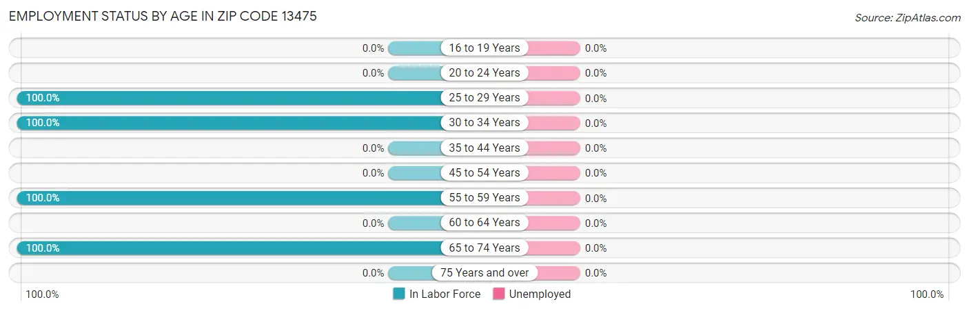 Employment Status by Age in Zip Code 13475