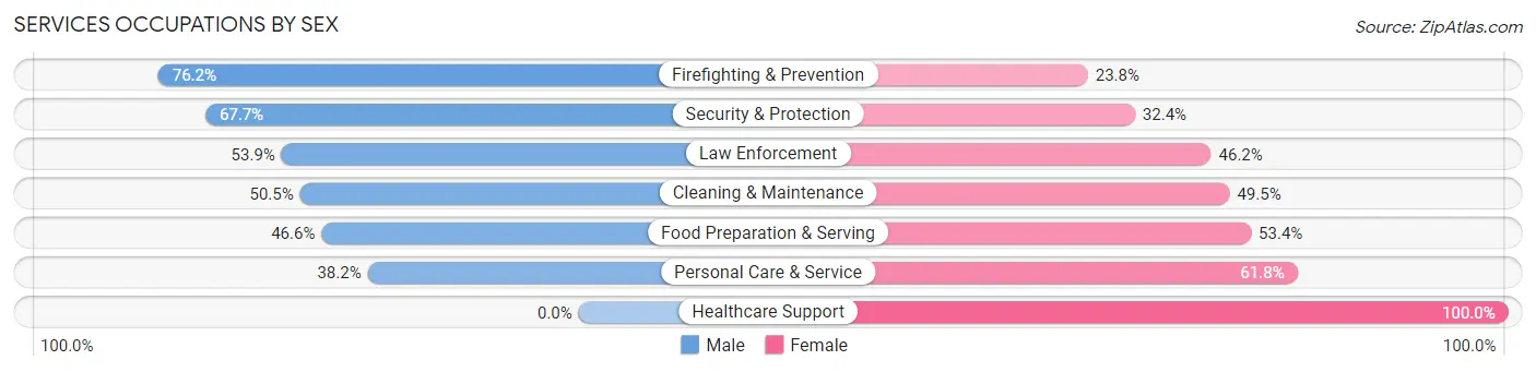 Services Occupations by Sex in Zip Code 13480