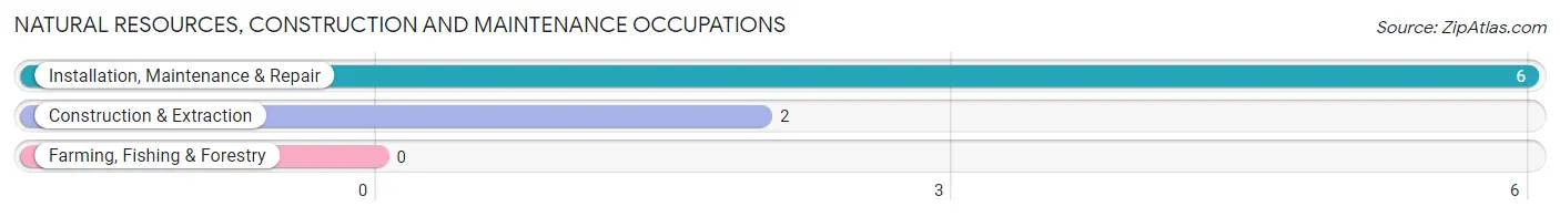 Natural Resources, Construction and Maintenance Occupations in Zip Code 13483