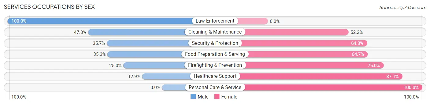 Services Occupations by Sex in Zip Code 13485