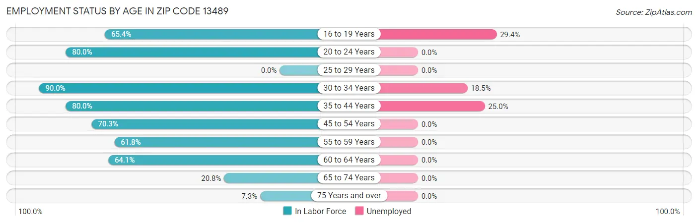 Employment Status by Age in Zip Code 13489