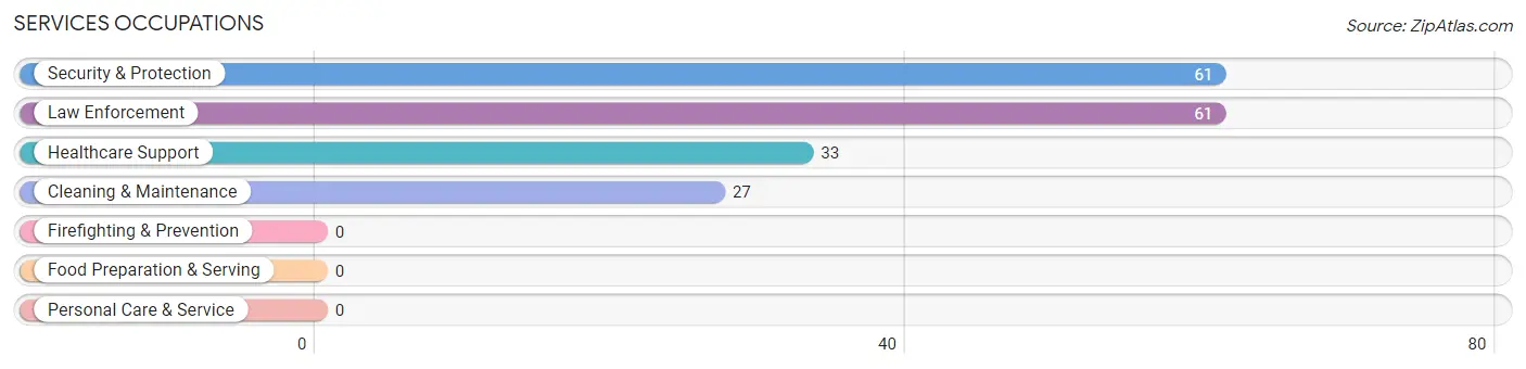 Services Occupations in Zip Code 13490