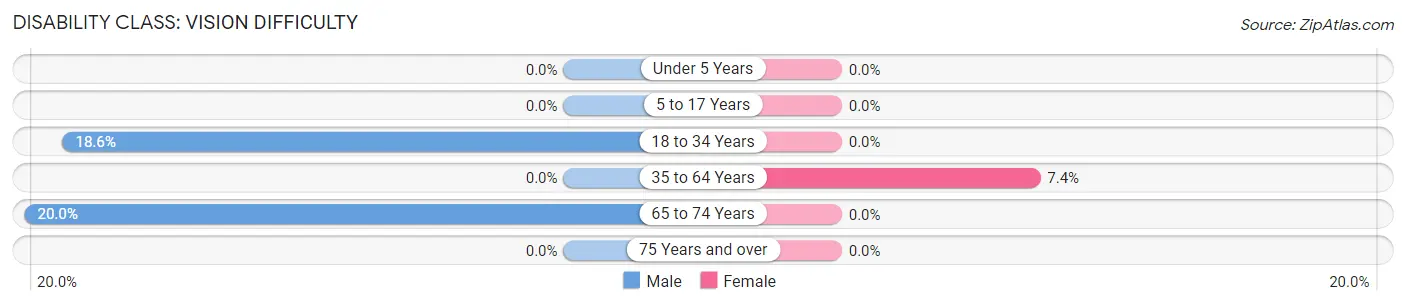 Disability in Zip Code 13490: <span>Vision Difficulty</span>