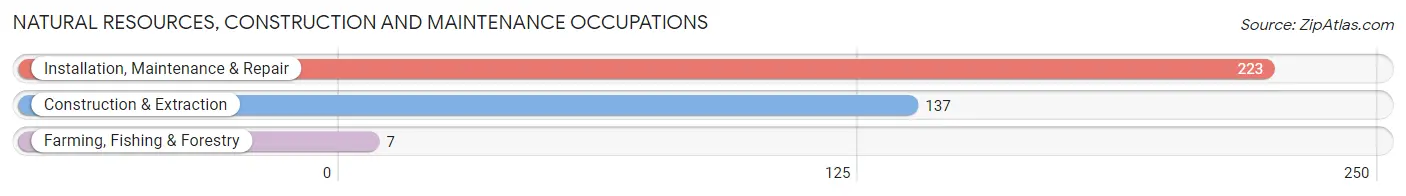 Natural Resources, Construction and Maintenance Occupations in Zip Code 13492