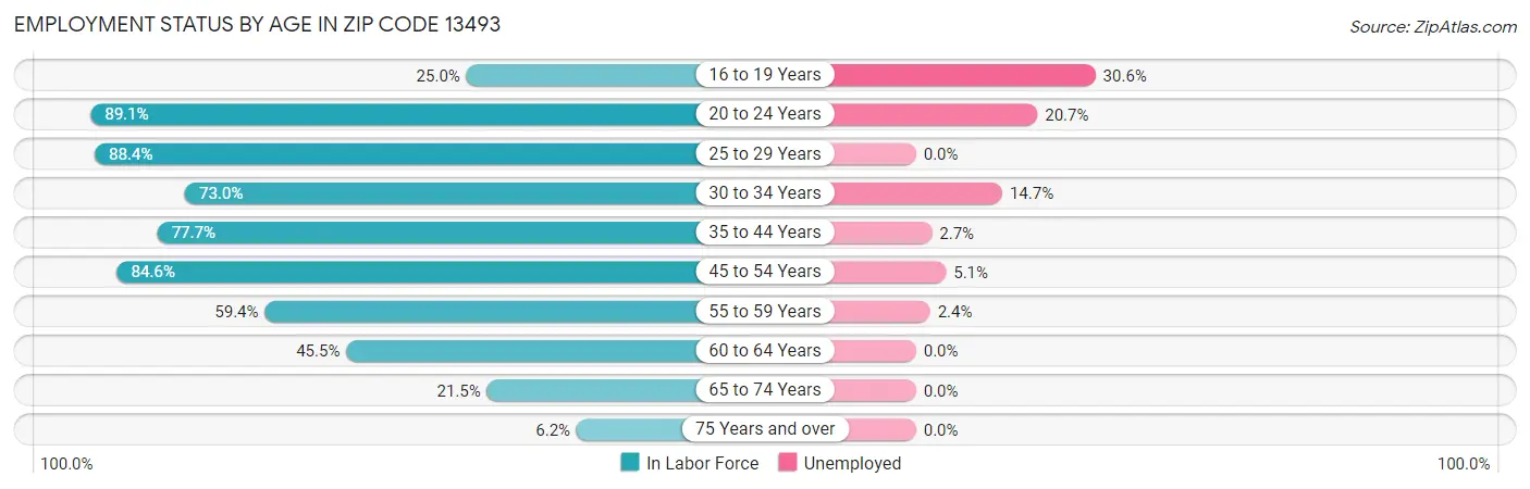 Employment Status by Age in Zip Code 13493