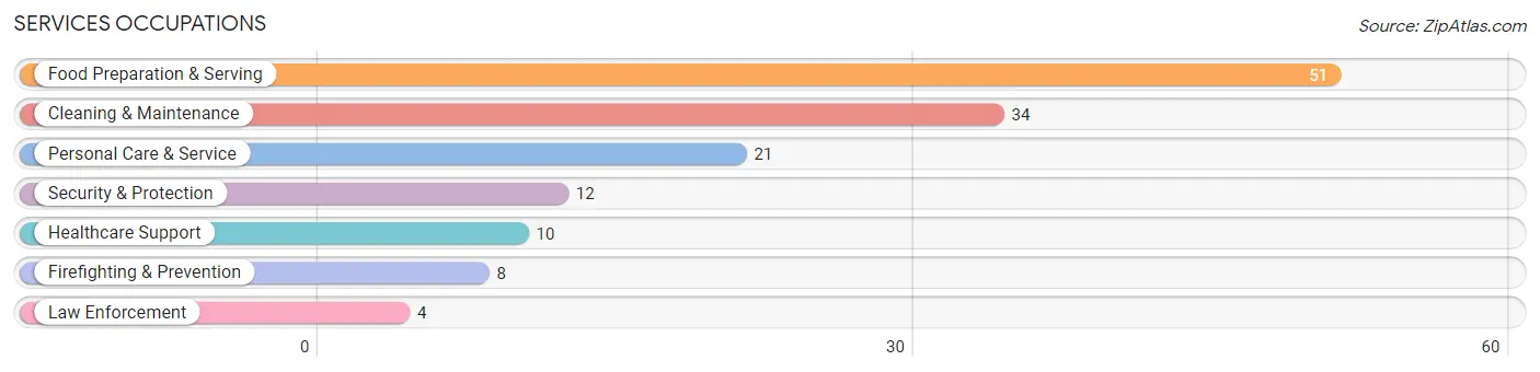 Services Occupations in Zip Code 13493