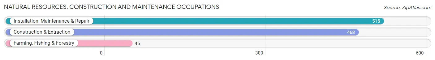 Natural Resources, Construction and Maintenance Occupations in Zip Code 13501