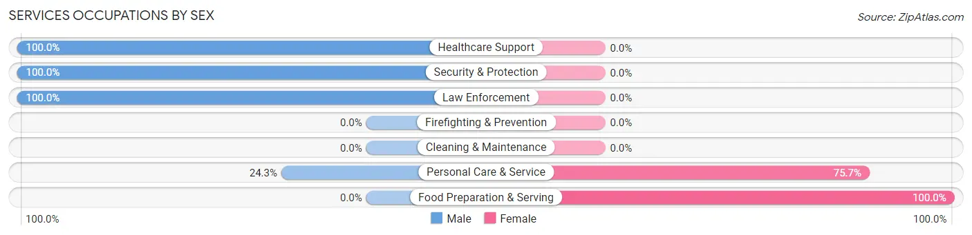 Services Occupations by Sex in Zip Code 13606