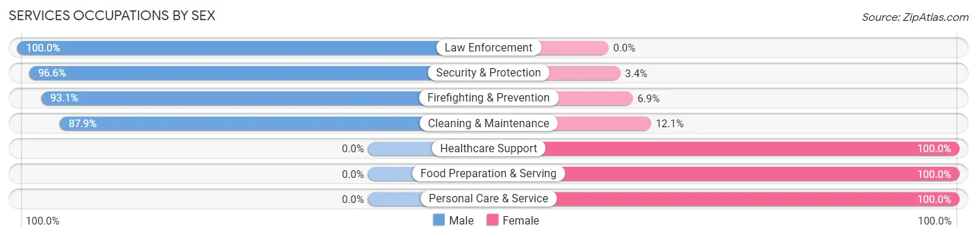 Services Occupations by Sex in Zip Code 13608
