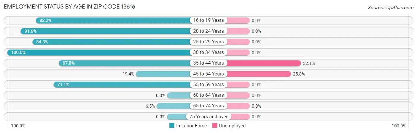 Employment Status by Age in Zip Code 13616