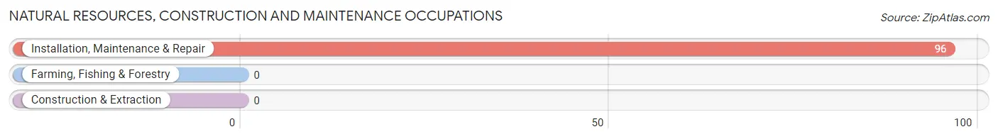 Natural Resources, Construction and Maintenance Occupations in Zip Code 13616