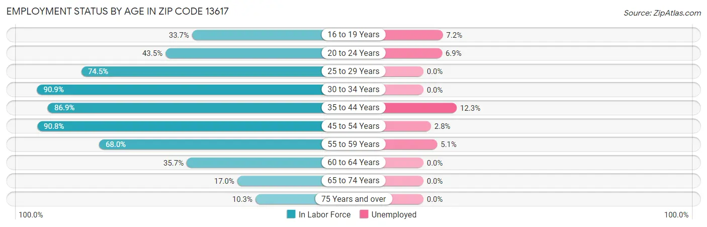 Employment Status by Age in Zip Code 13617