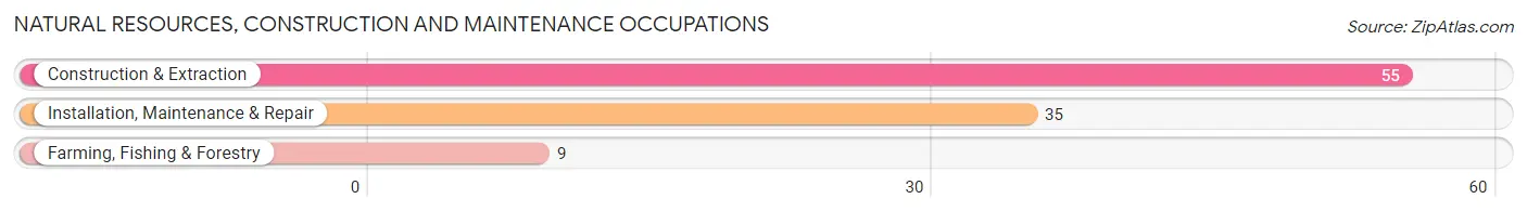 Natural Resources, Construction and Maintenance Occupations in Zip Code 13622