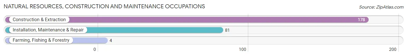 Natural Resources, Construction and Maintenance Occupations in Zip Code 13624