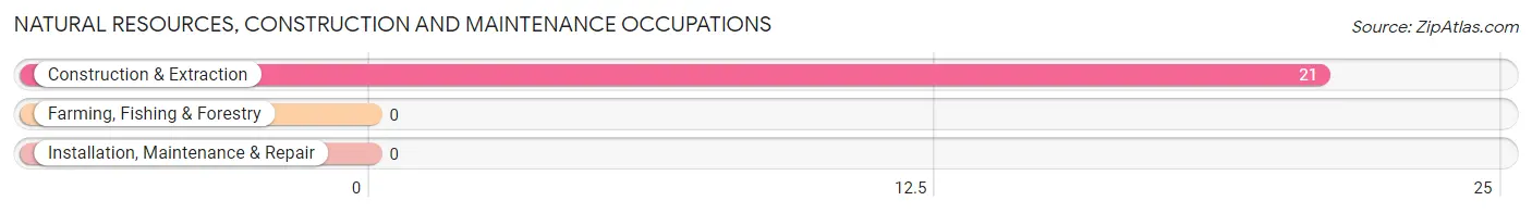 Natural Resources, Construction and Maintenance Occupations in Zip Code 13638