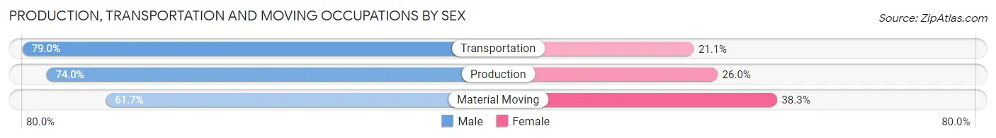 Production, Transportation and Moving Occupations by Sex in Zip Code 13648
