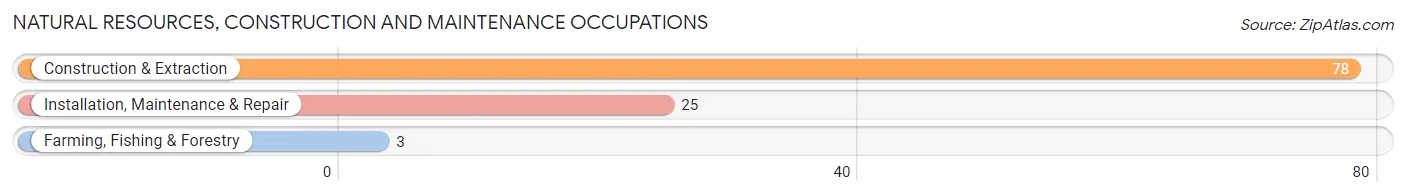 Natural Resources, Construction and Maintenance Occupations in Zip Code 13665