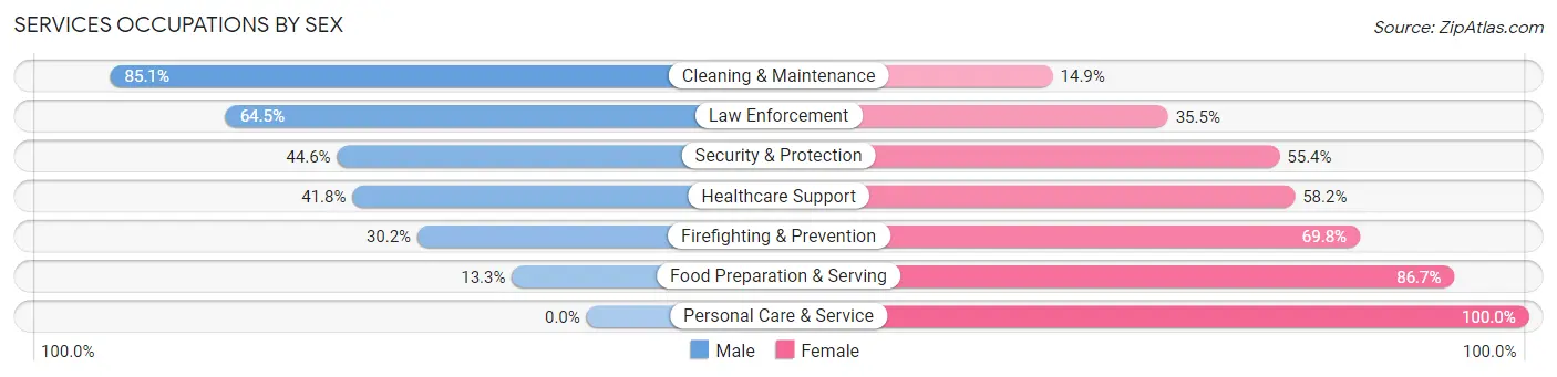 Services Occupations by Sex in Zip Code 13667