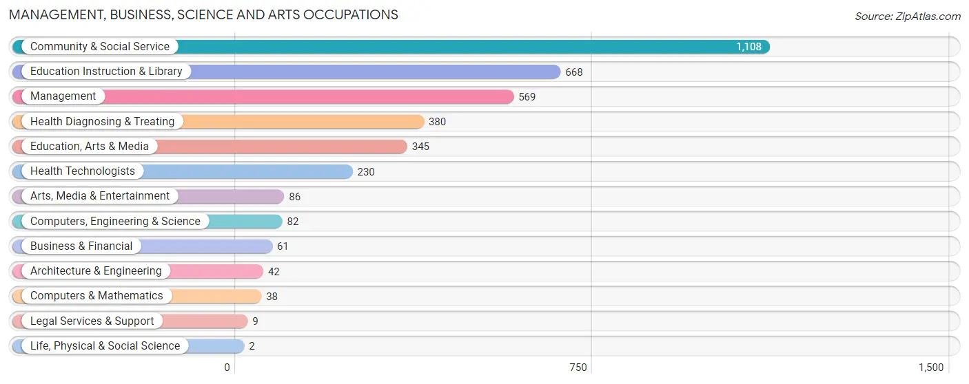 Management, Business, Science and Arts Occupations in Zip Code 13669