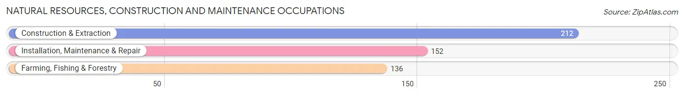 Natural Resources, Construction and Maintenance Occupations in Zip Code 13669