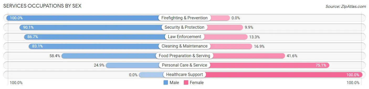 Services Occupations by Sex in Zip Code 13676