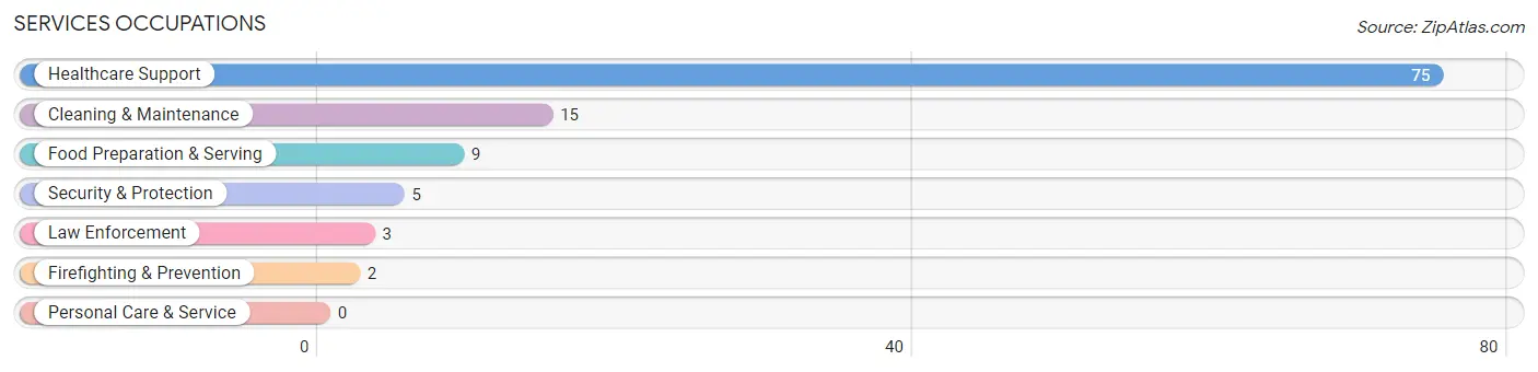 Services Occupations in Zip Code 13680