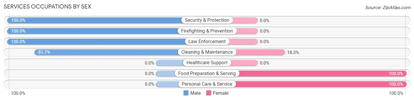 Services Occupations by Sex in Zip Code 13682