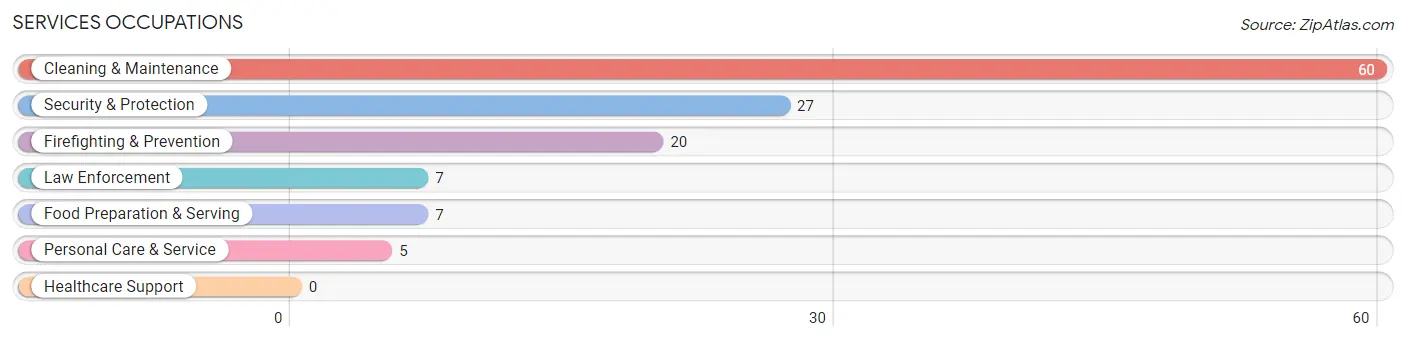 Services Occupations in Zip Code 13682