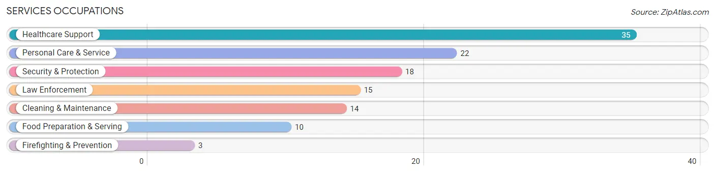 Services Occupations in Zip Code 13684