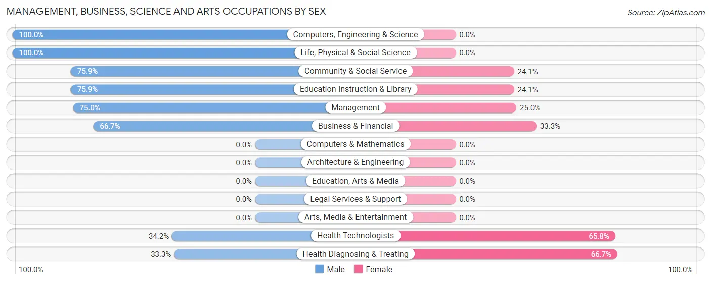 Management, Business, Science and Arts Occupations by Sex in Zip Code 13690