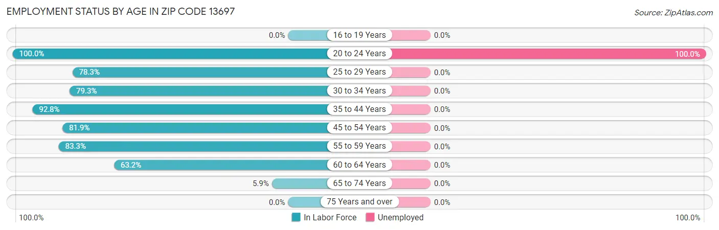 Employment Status by Age in Zip Code 13697