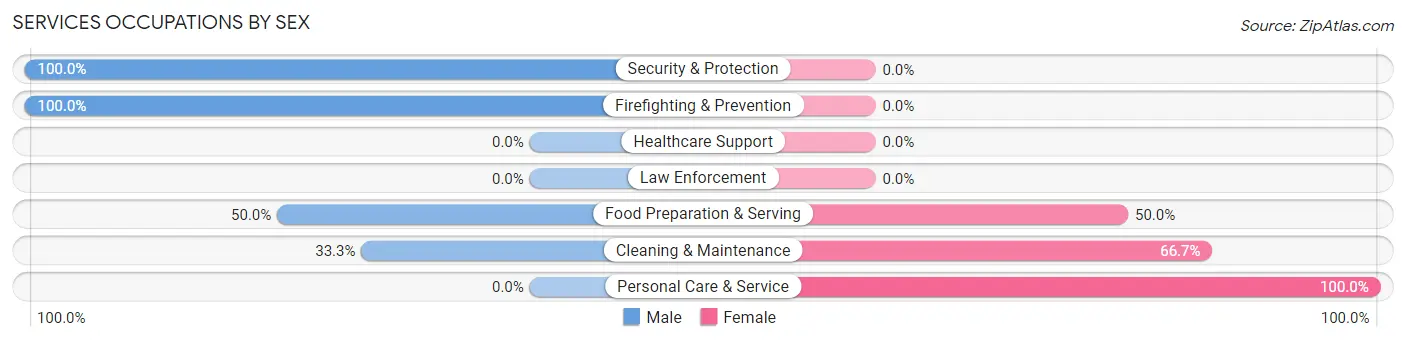 Services Occupations by Sex in Zip Code 13740