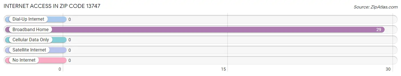 Internet Access in Zip Code 13747