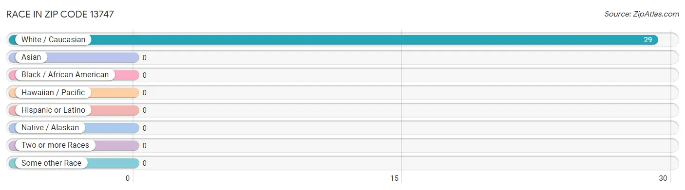 Race in Zip Code 13747