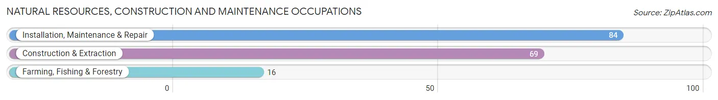 Natural Resources, Construction and Maintenance Occupations in Zip Code 13754