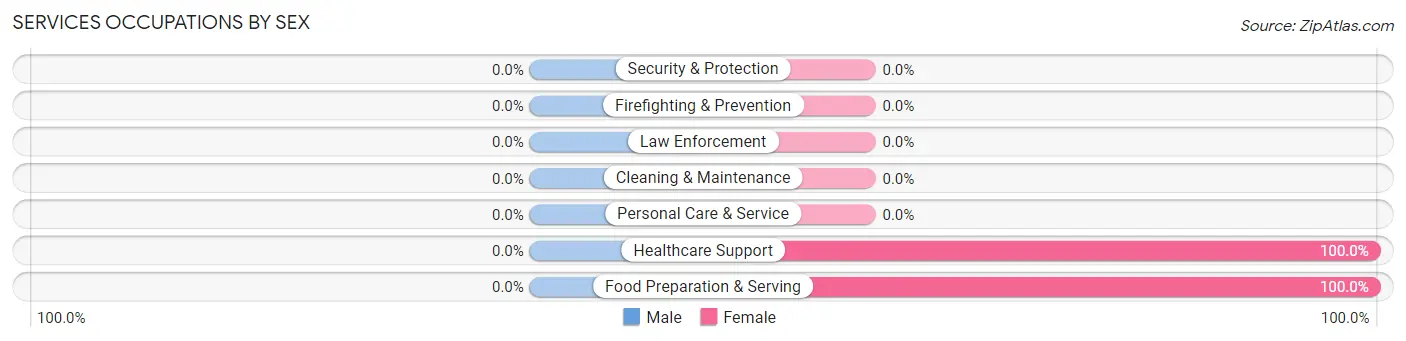 Services Occupations by Sex in Zip Code 13756