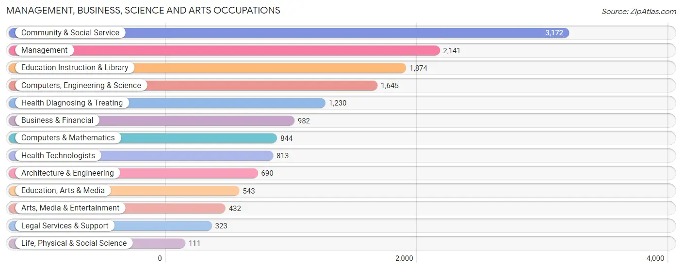 Management, Business, Science and Arts Occupations in Zip Code 13760