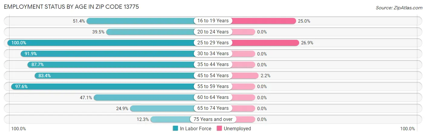 Employment Status by Age in Zip Code 13775