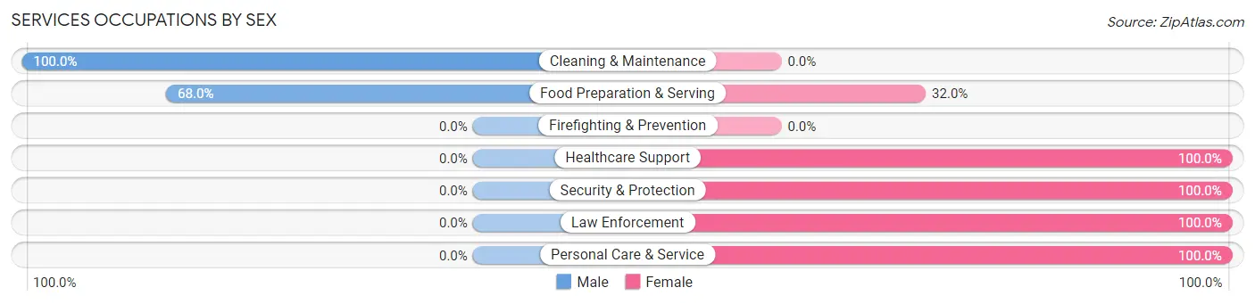 Services Occupations by Sex in Zip Code 13775