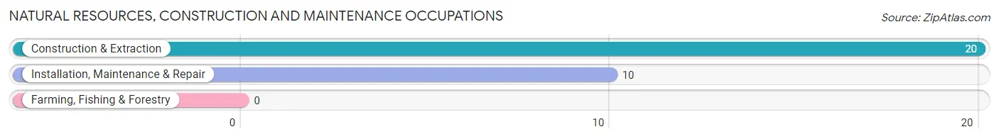 Natural Resources, Construction and Maintenance Occupations in Zip Code 13777