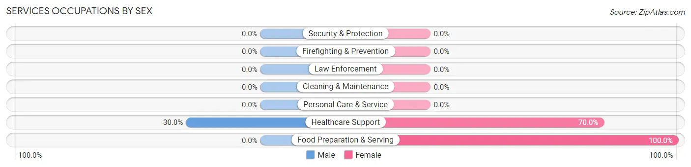 Services Occupations by Sex in Zip Code 13777