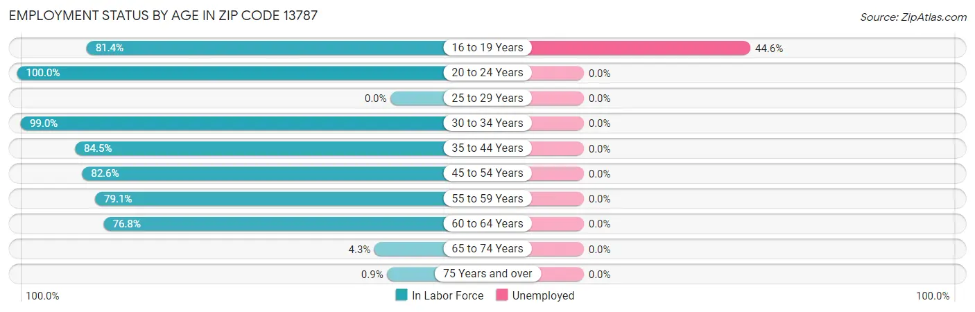 Employment Status by Age in Zip Code 13787