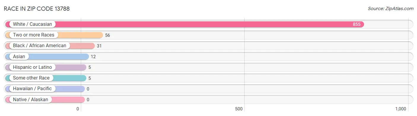Race in Zip Code 13788