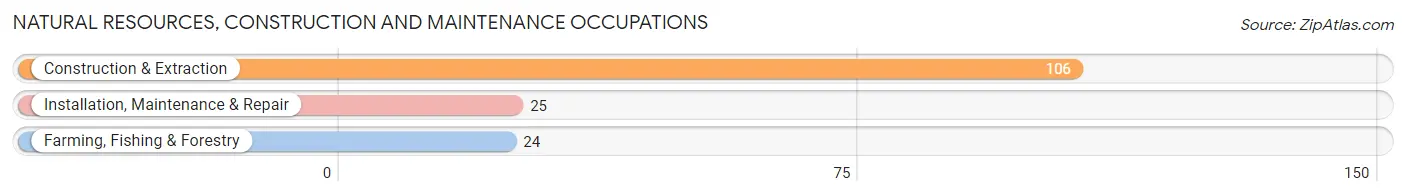 Natural Resources, Construction and Maintenance Occupations in Zip Code 13797