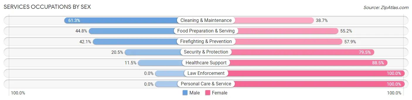 Services Occupations by Sex in Zip Code 13797